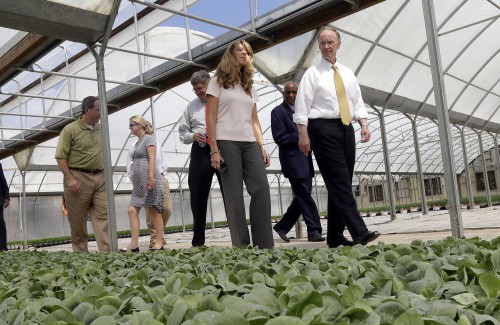 Bonnie Plant Farms