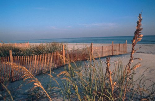 GulfCoastFenceOnBeachWithSeaOats